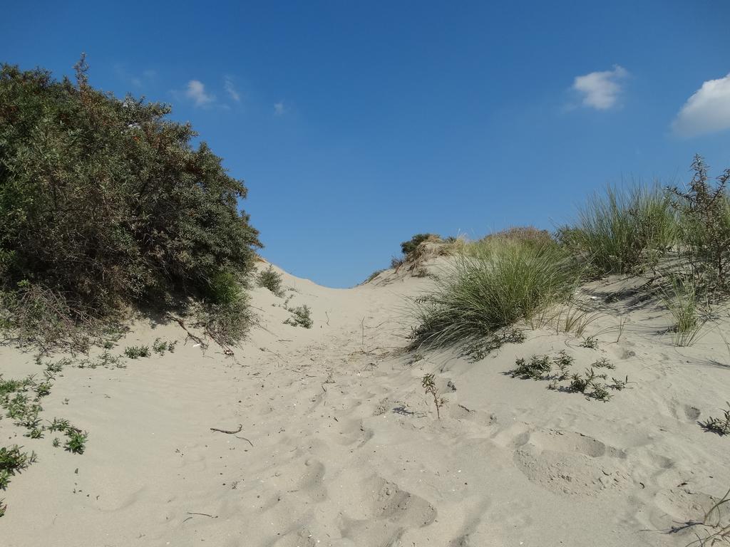 Appartement Aanzee Hoek van Holland Szoba fotó